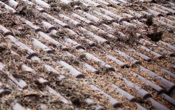 Heald Green roof cleaning companies