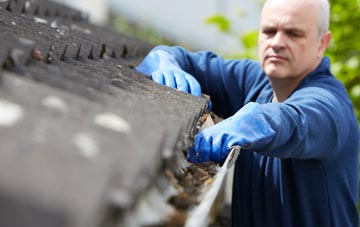 cleaning and inspecting Heald Green roofs